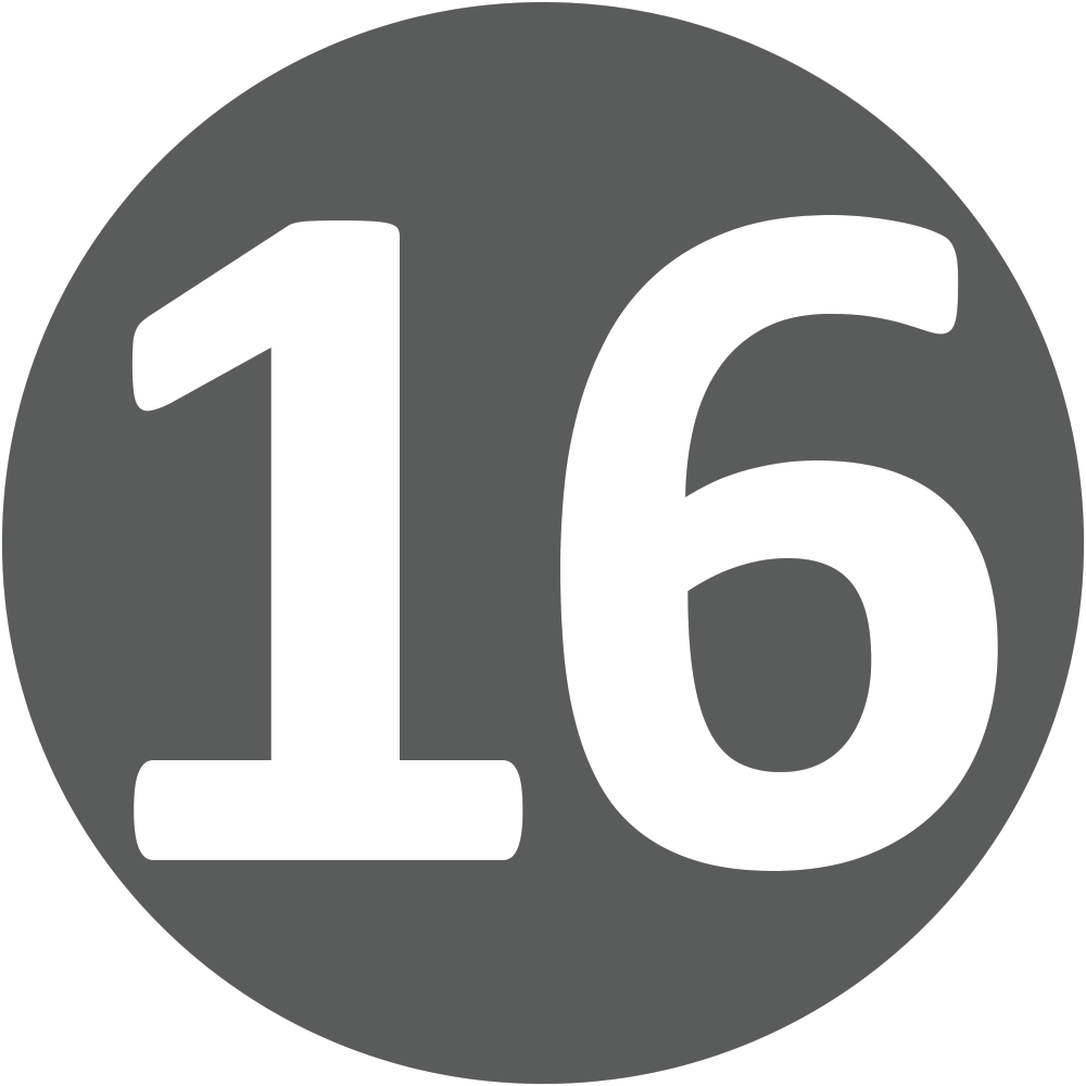 Route 16 Logo